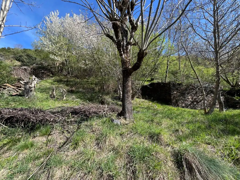 Terreno residencial en venta en Calle Mayor 55, imagen 2