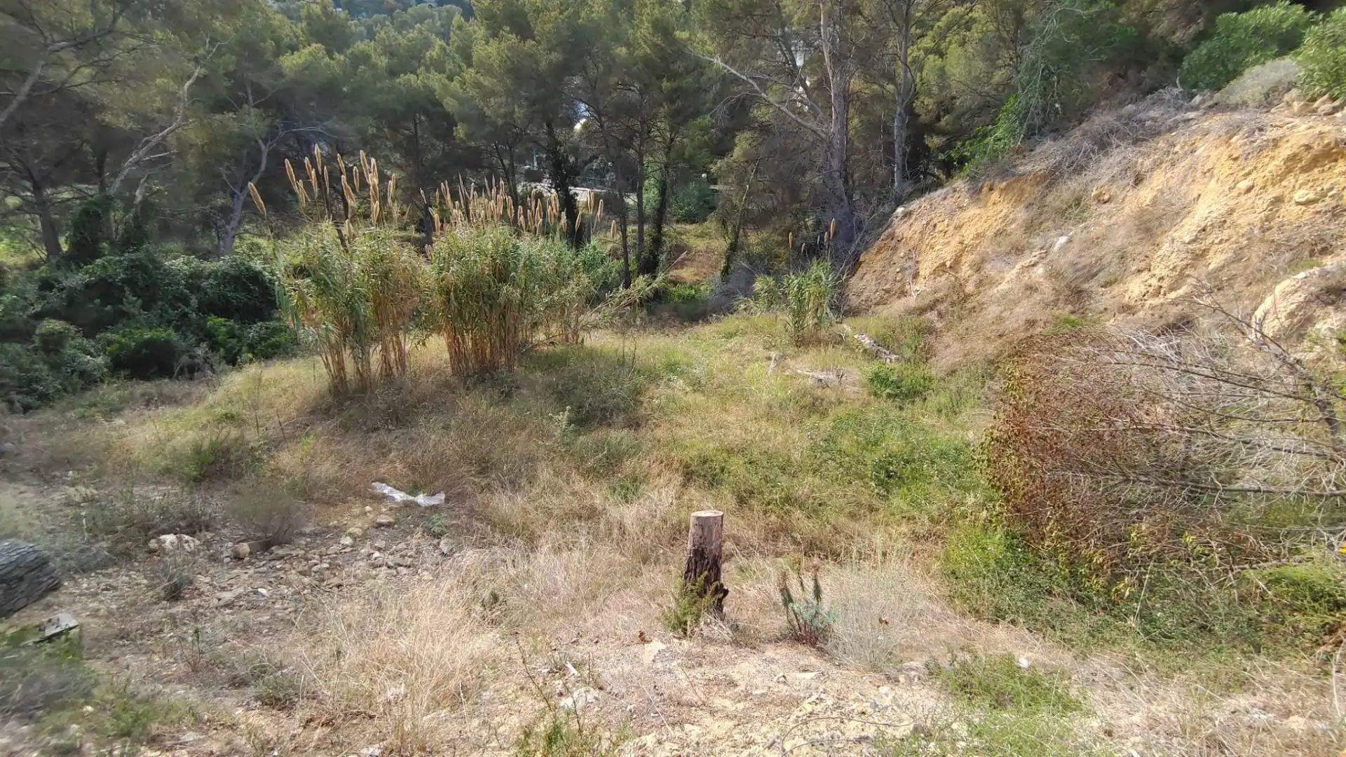 Terreni e lotti in vendita a CONCA BARBERA 56, imagen 8