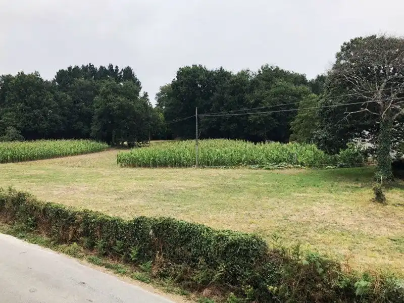 Maison avec jardin à vendre à O Corgo, imagen 12
