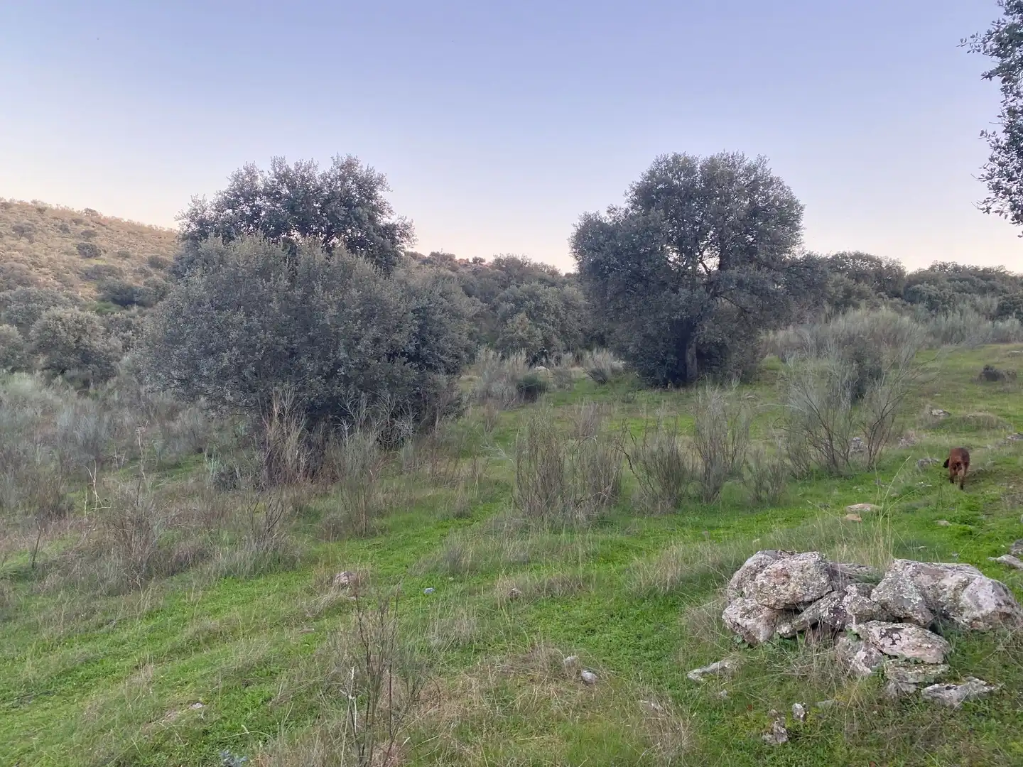 Terreni e lotti in vendita a Villar del Pedroso, imagen 37