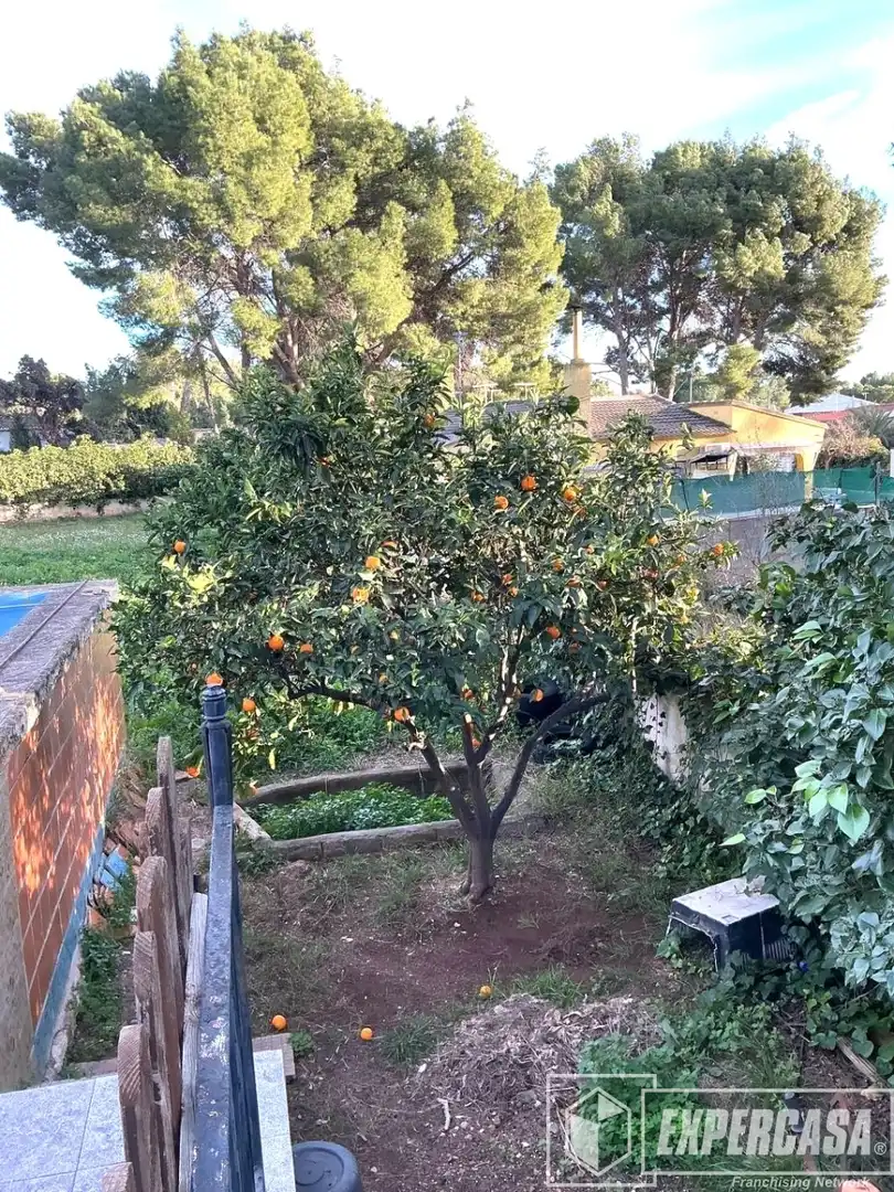 Jardín de Casa o chalet en venta en Olocau con Calefacción, Terraza y Piscina