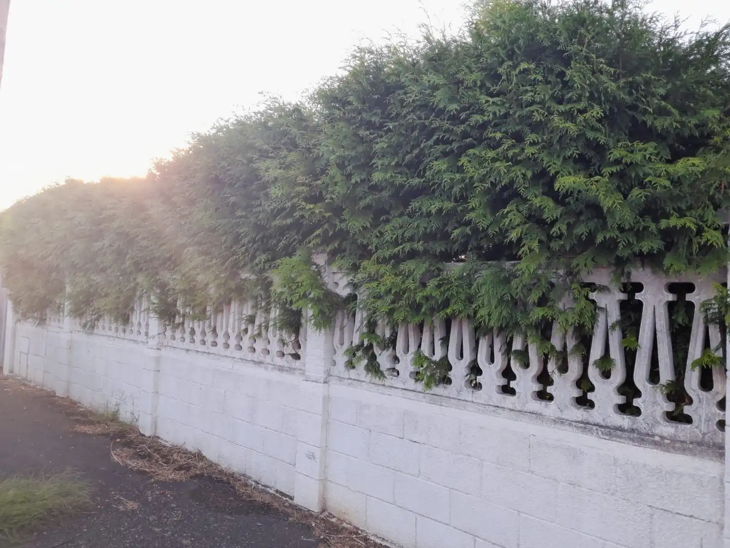 House with garden for sale in Mugardos, imagen 11