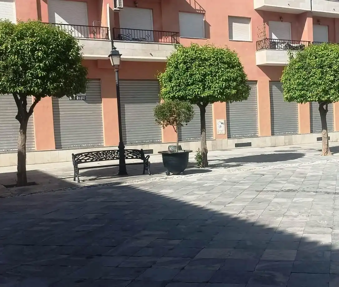 Local commercial à louer à Plaza IGLESIA, imagen 5