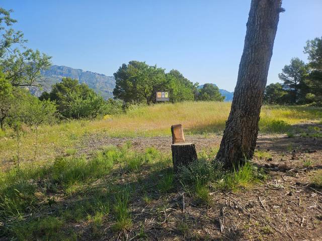 Terreno en Venta en Benifato