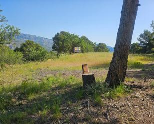 Land for sale in Benifato