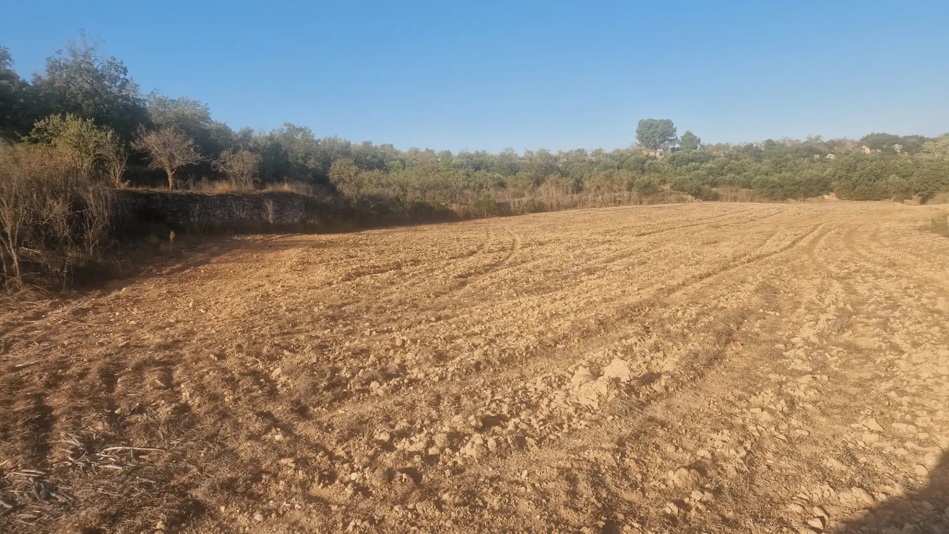 Rural land for sale in Arbeca, imagen 14