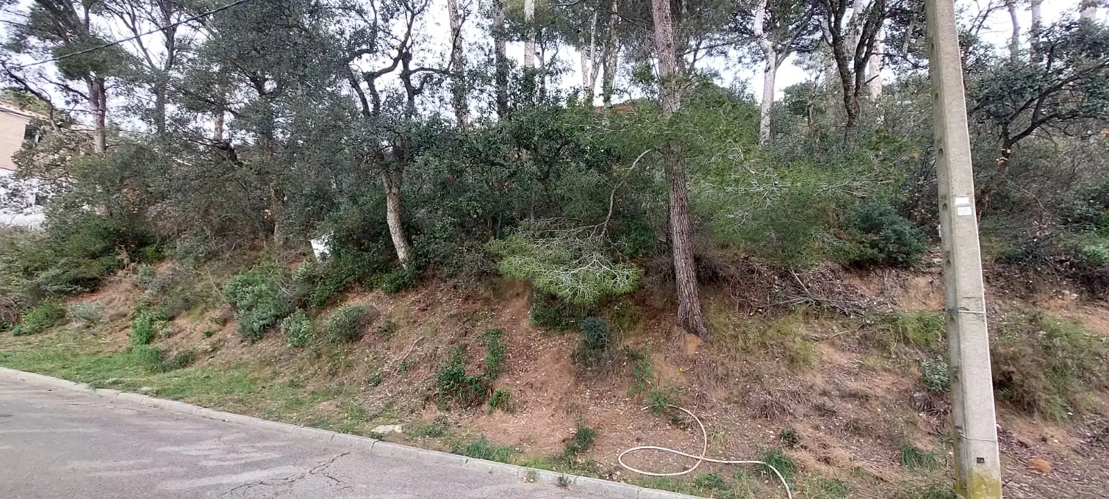 Terreny residencial en venda a Tamariu, imagen 18