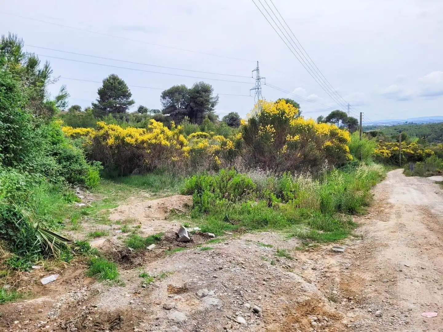 Terreno rústico en venta en Castellbisbal, imagen 18
