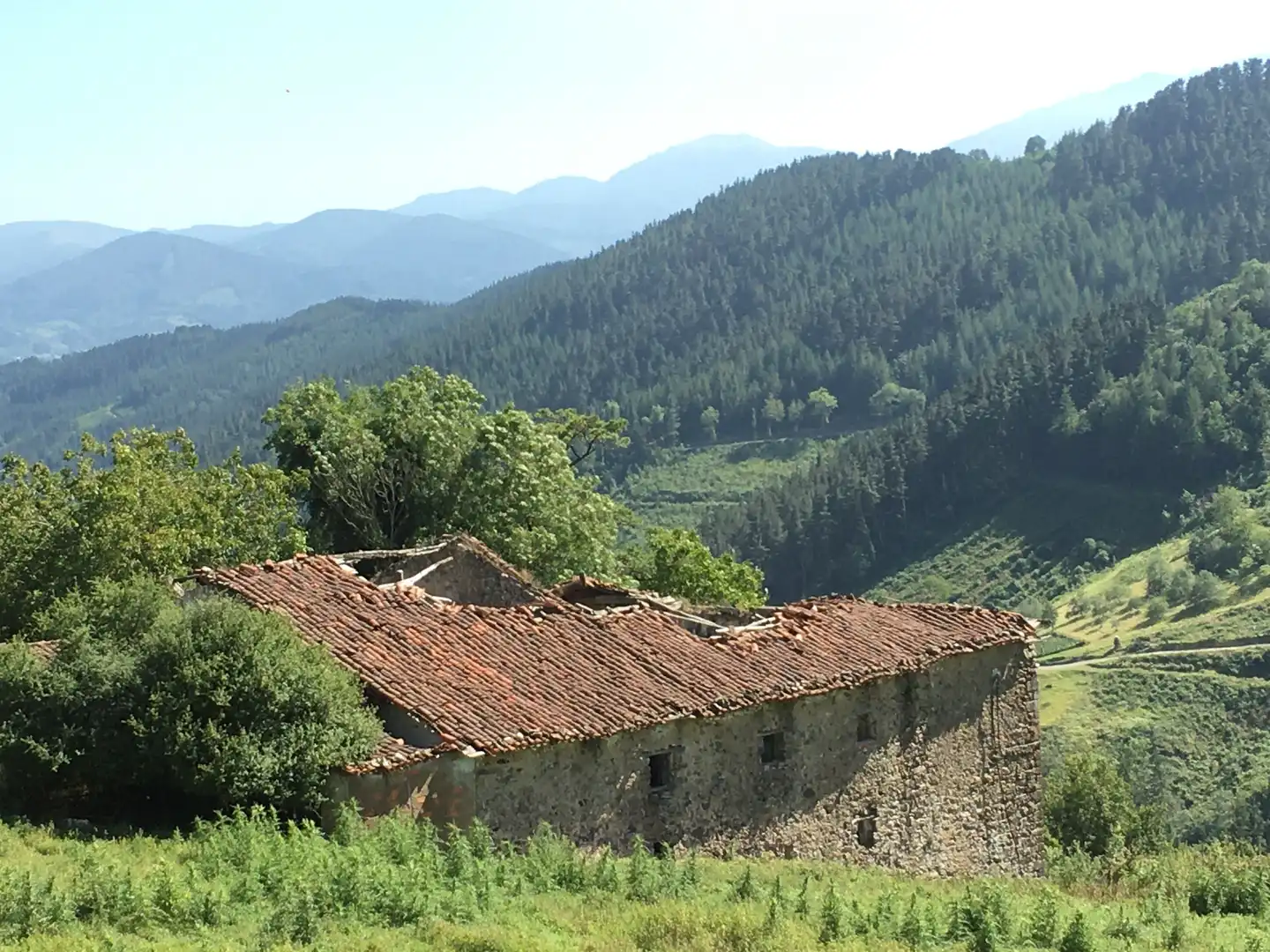 Vista exterior de Finca rústica en venta en Beasain
