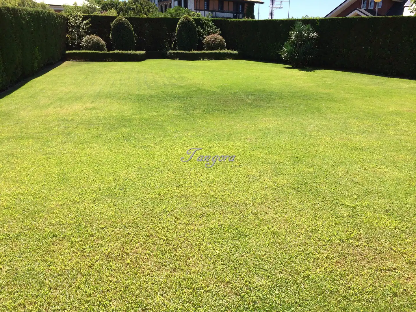 Casa o chalet en venta en Getxo  con Calefacción, Jardín privado y Parquet