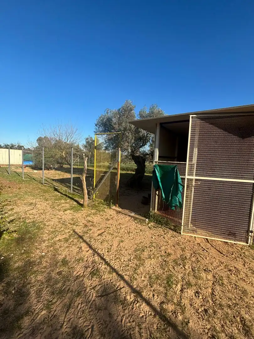 Casa o chalet en venta en Arahal