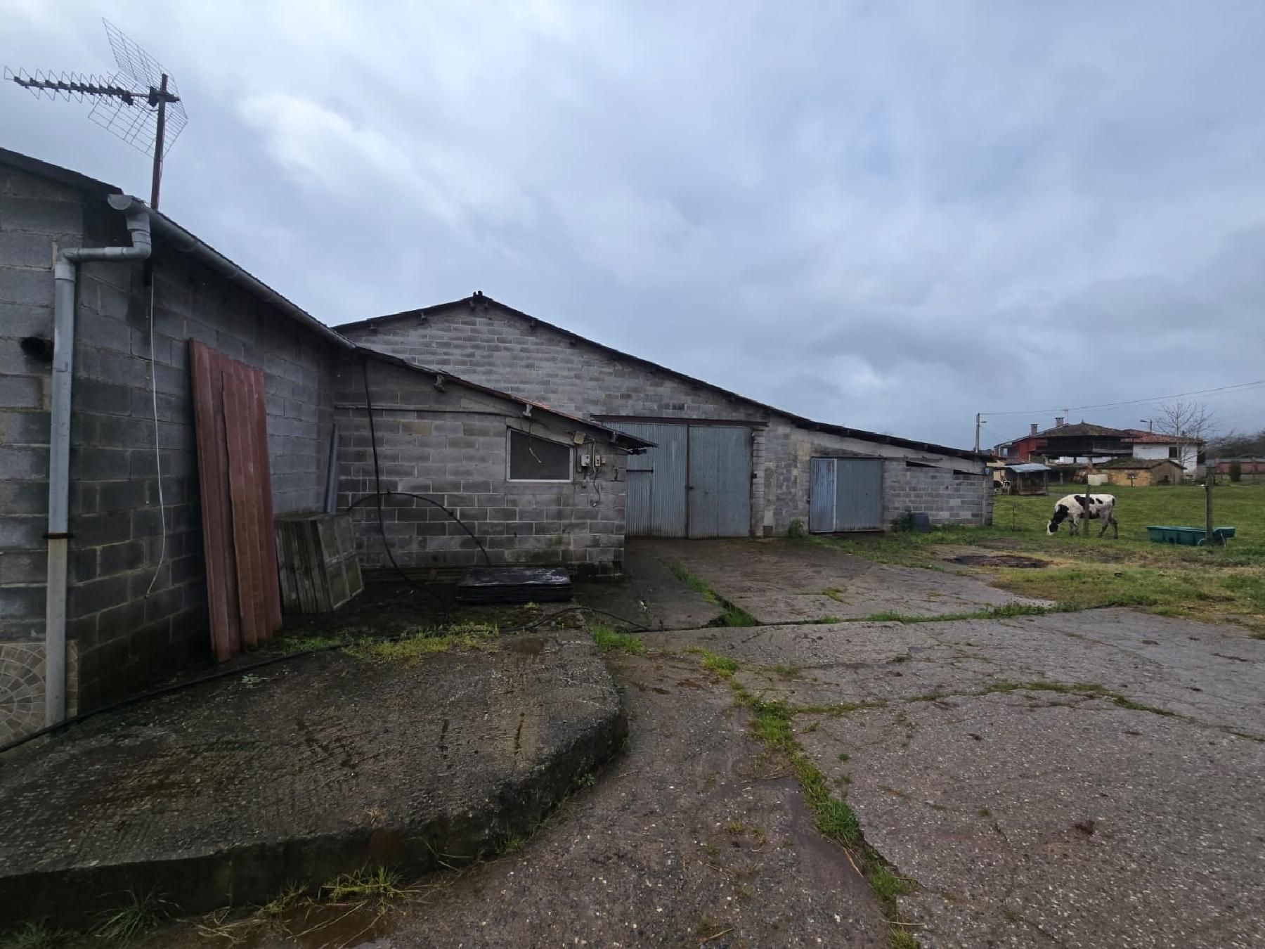 Exterior view of Industrial buildings for sale in Llanera