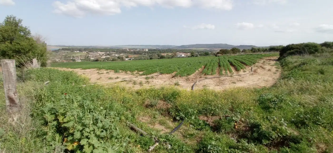 Terreno residencial en venta en Arcos de la Frontera, imagen 2