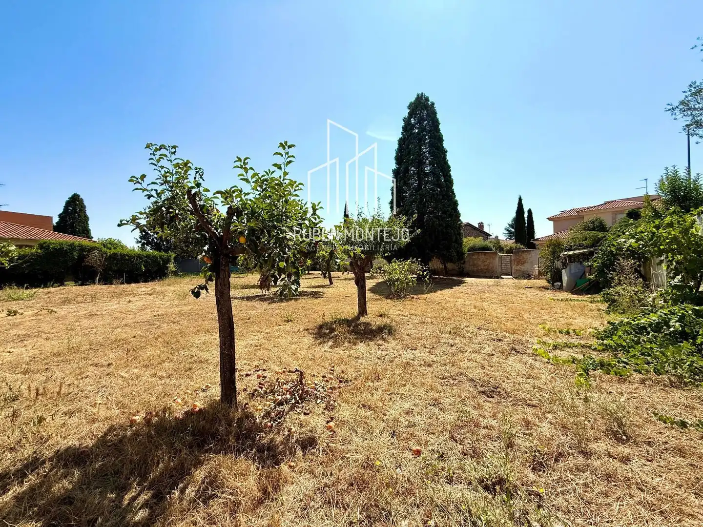 Rural land for sale in Cañaveral, imagen 12