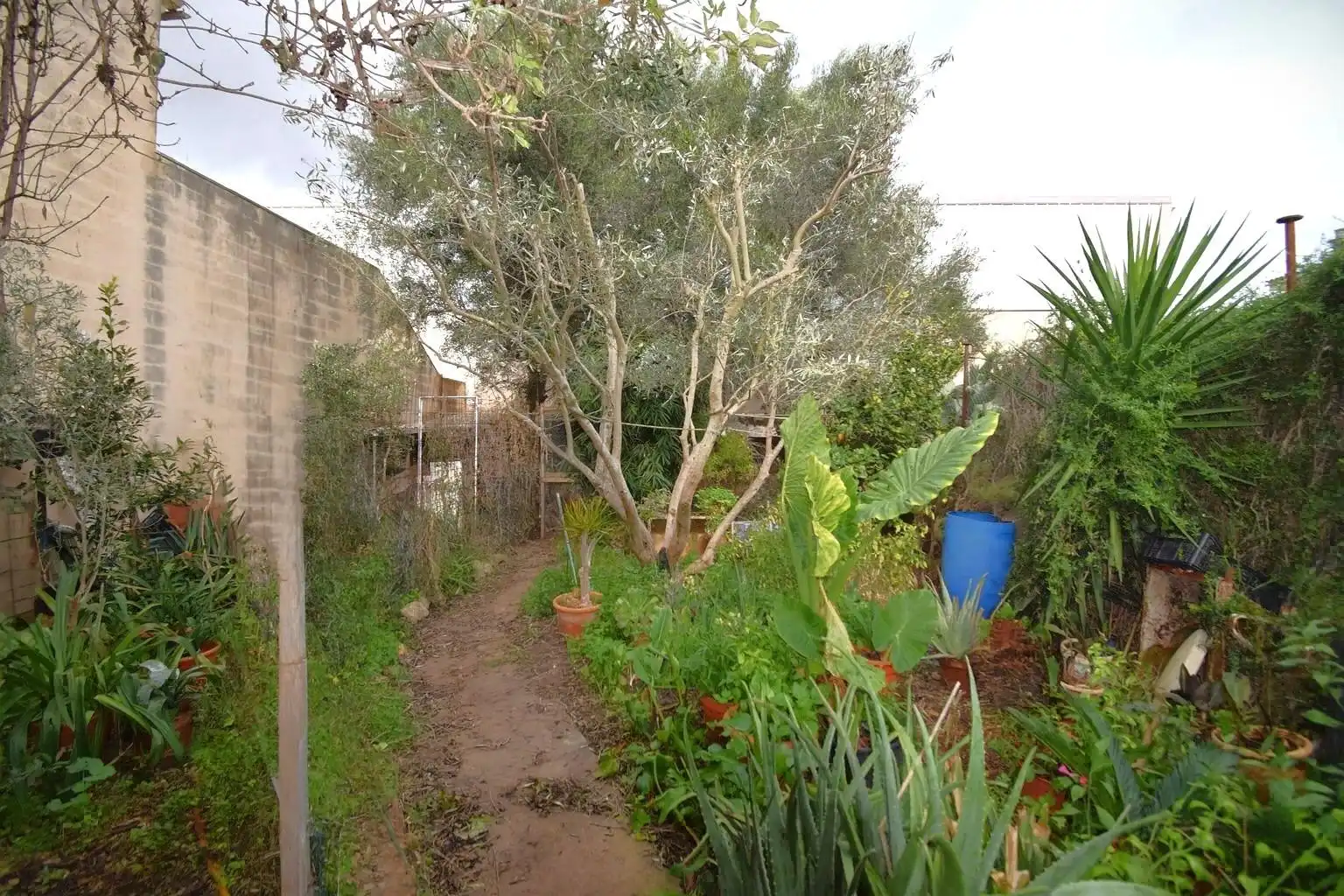 Lands and plots for sale in Carrer del Bisbe Miquel Moncadas, imagen 3