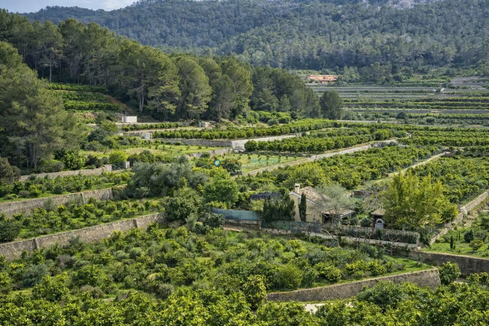Jardí de Casa o xalet en venda en Alfauir amb Jardí privat, Terrassa i Forn