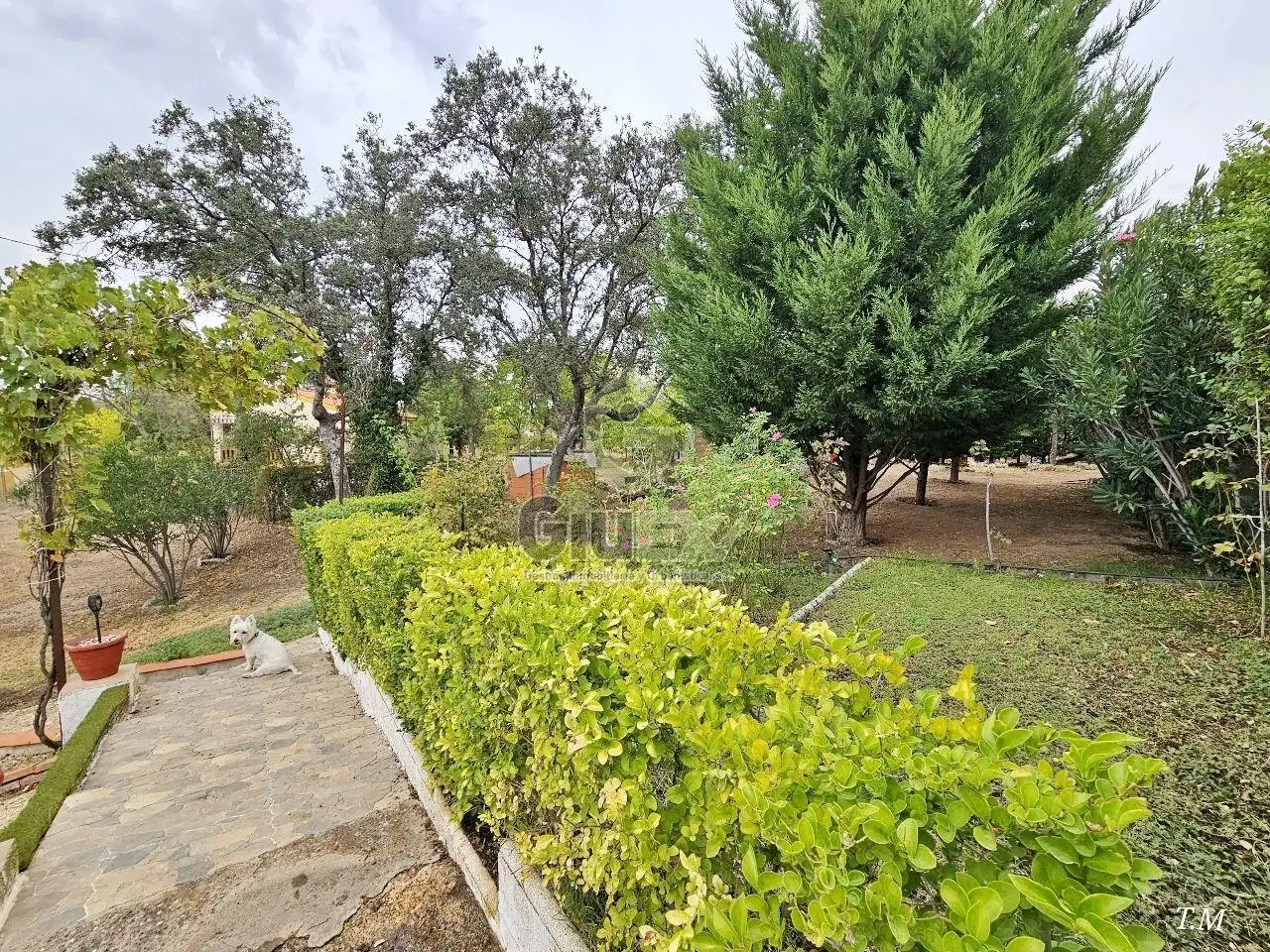House with garden for sale in Arroyo de la Luz, imagen 47