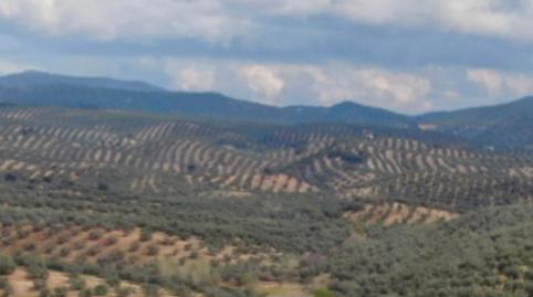 Foto 2 de Casa o xalet en venda a Calle Albanchez de Magina, 1, Renfe - Bulevar 1ª y 2ª Fase, Jaén