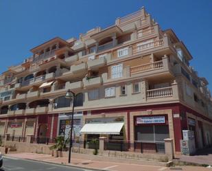 Vista exterior de Pis en venda en El Ejido amb Parquet, Terrassa i Piscina comunitària