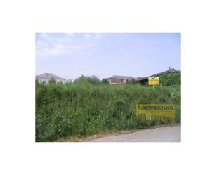 Residential for sale in Triacastela