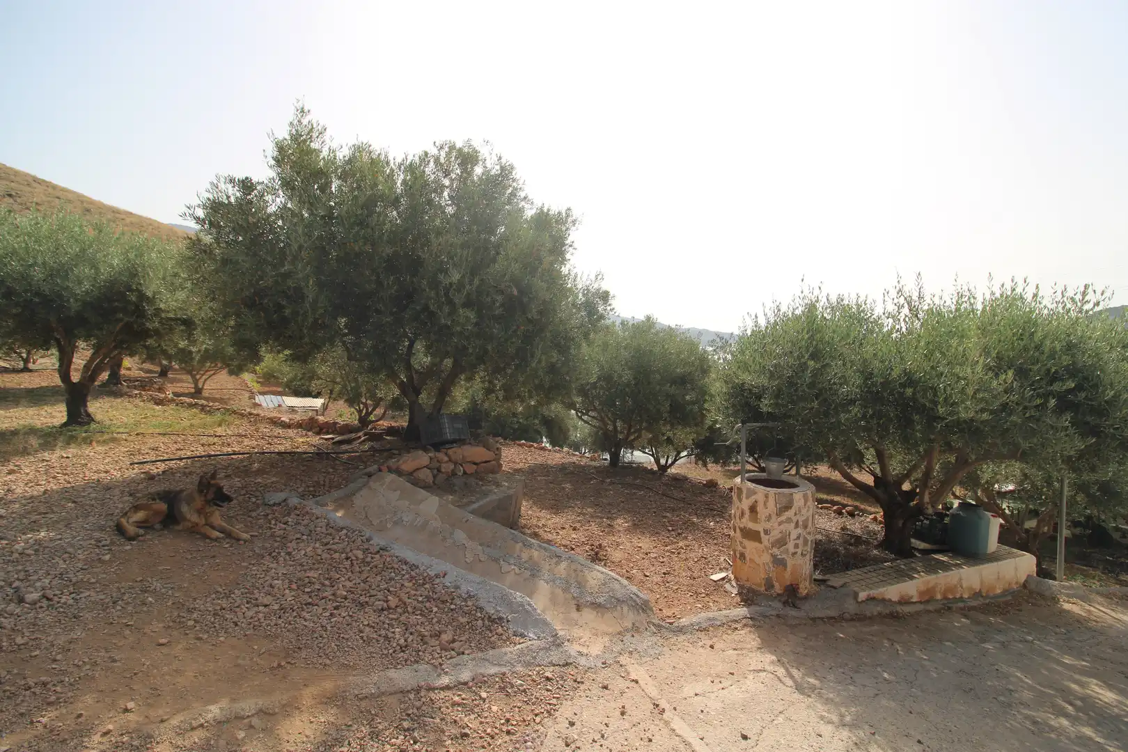 Finca rústica en venda en Dalías