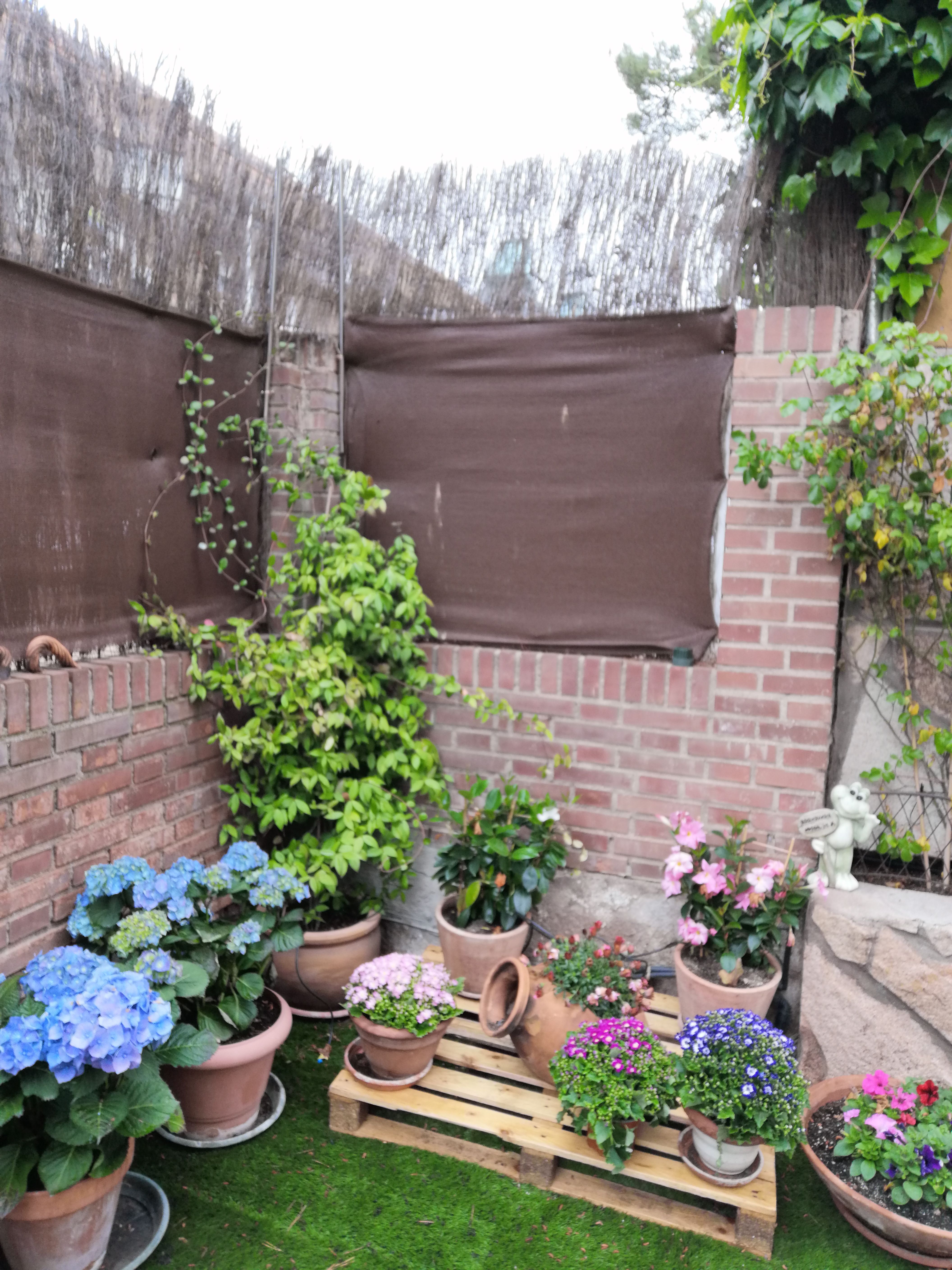 Garden of Apartment to rent in Torrelodones  with Heating and Furnished