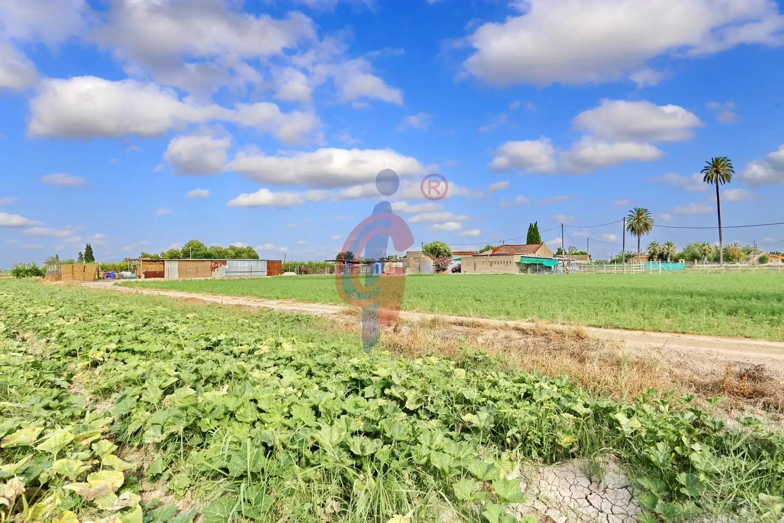 Finca rústica en venda en Callosa de Segura amb Jardí privat