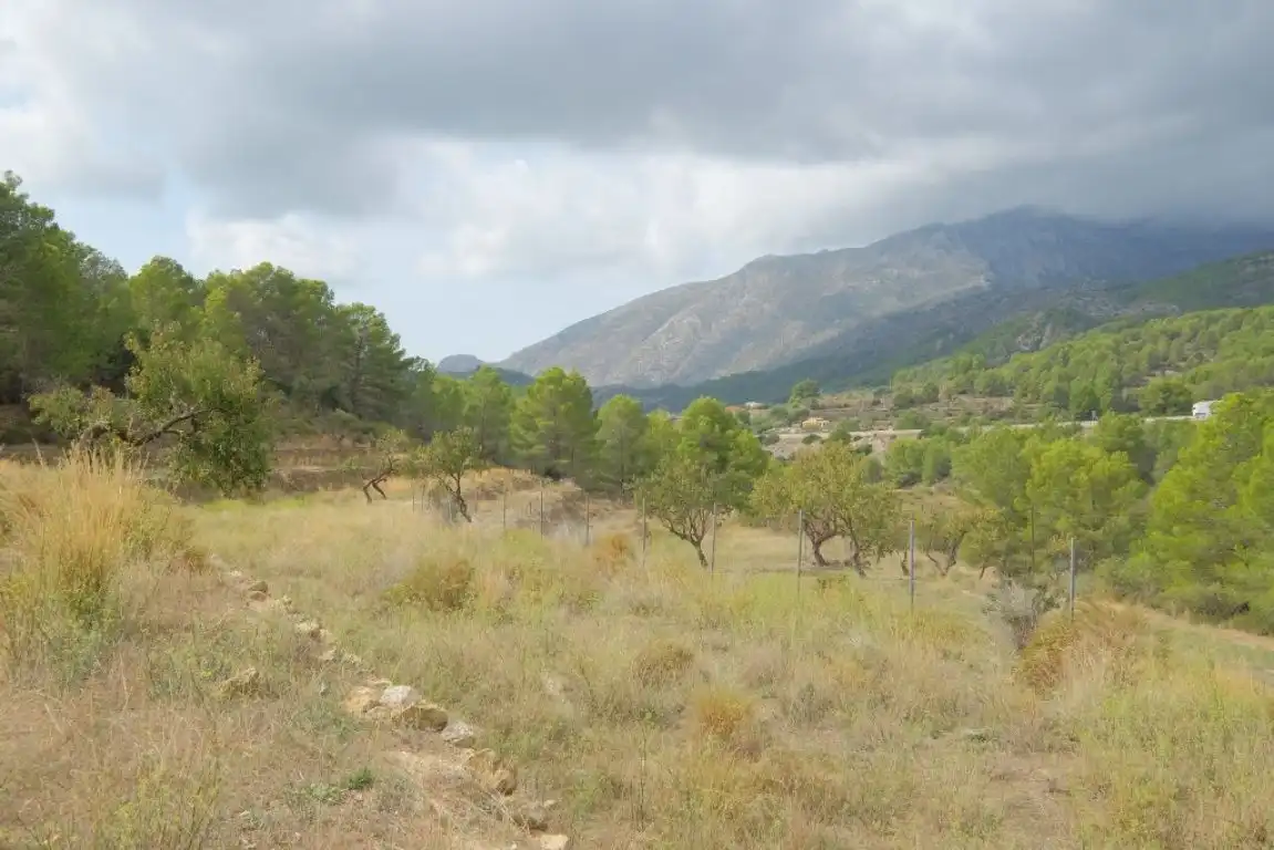 Terreny rústic en venda a Benissa pueblo, imagen 11