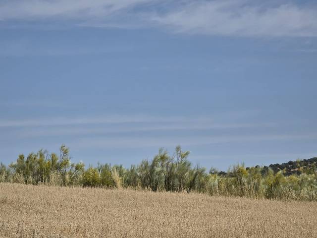 Terreno en Venta en Quijorna