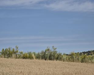 Land for sale in Quijorna