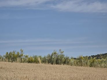 Rural land for sale in Quijorna
