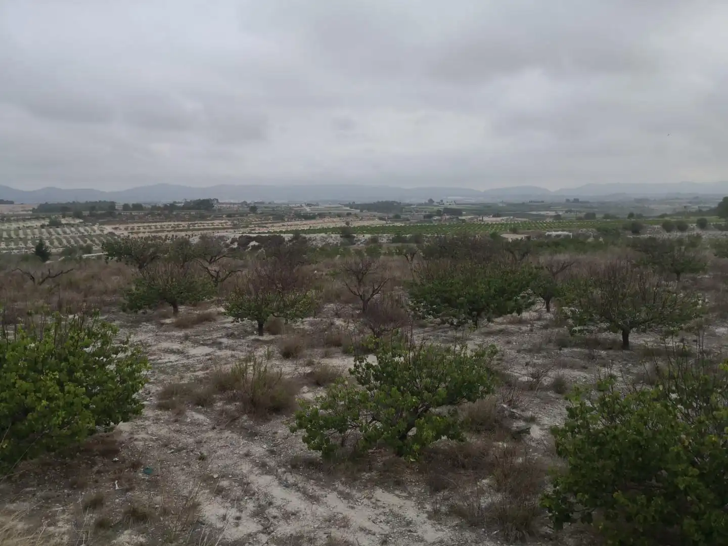 Finca rústica en venda en Albaida amb Jardí privat i Terrassa