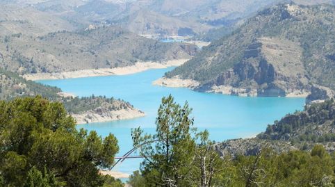 finca en venta 1.000 Has. Caza Mayor en Letur (Albacete), immagine 3