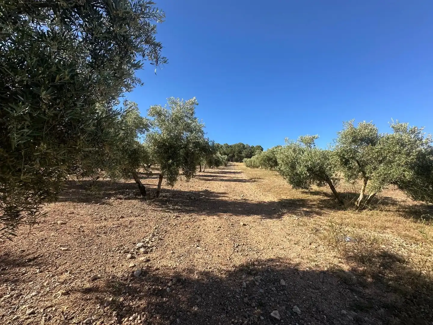 Terreni e lotti in vendita a Atarfe, imagen 17