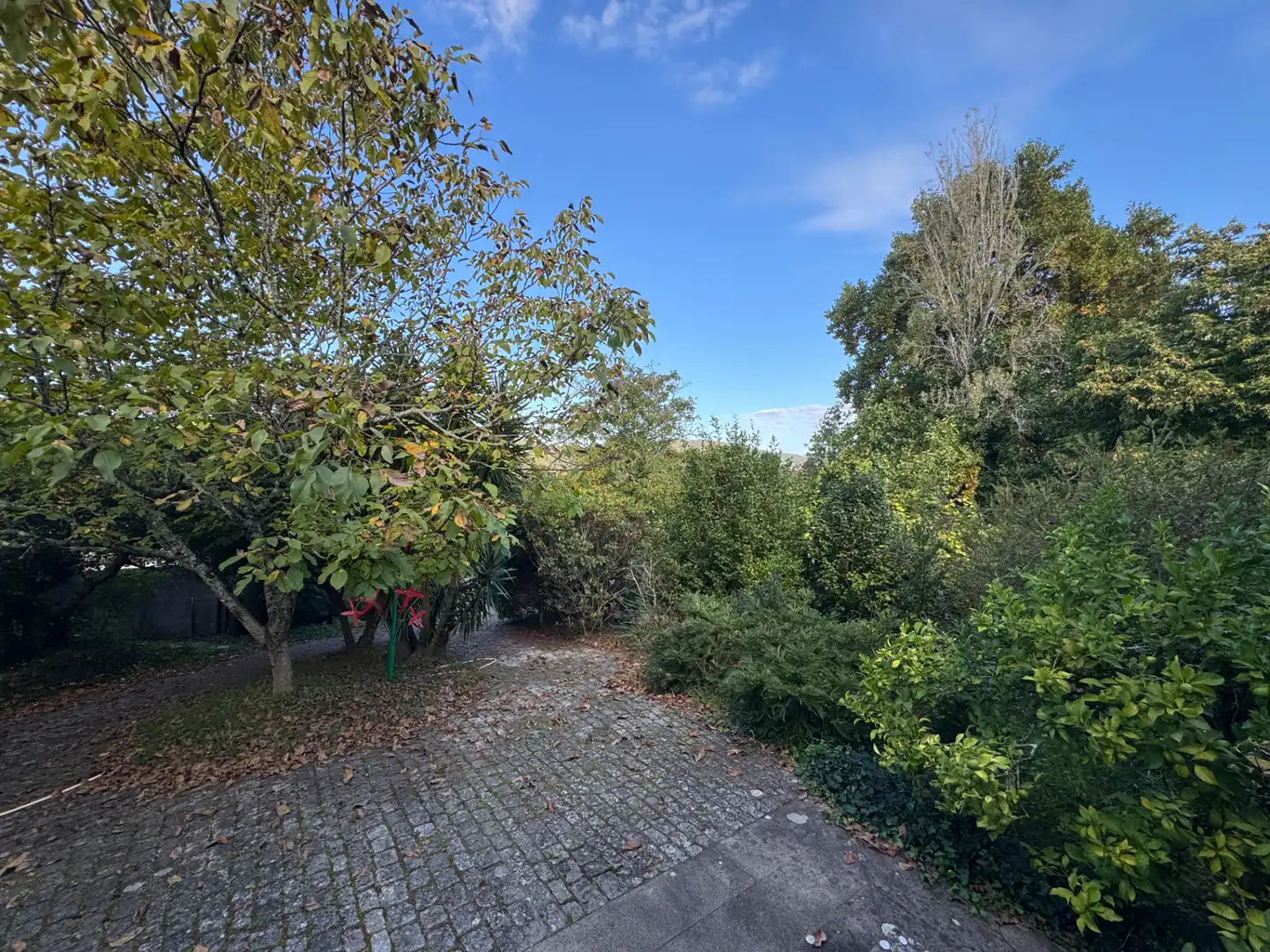 Chalet con jardín en venta en Portela Villestro, imagen 79