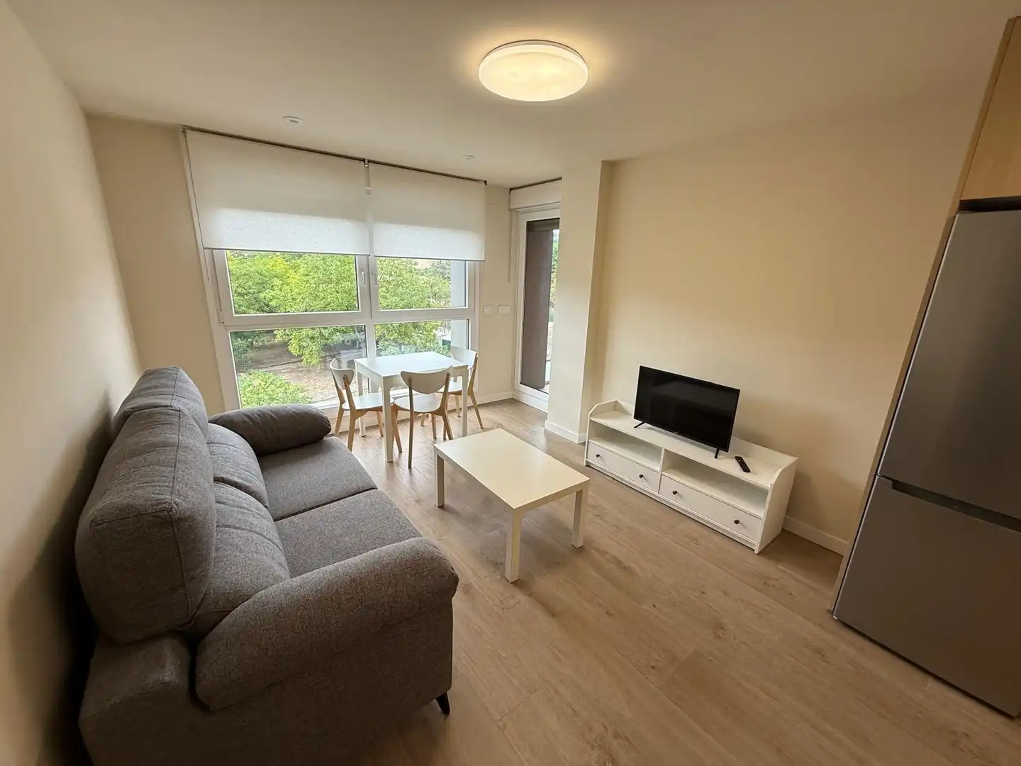 Apartament de lloguer a Estella / Lizarra