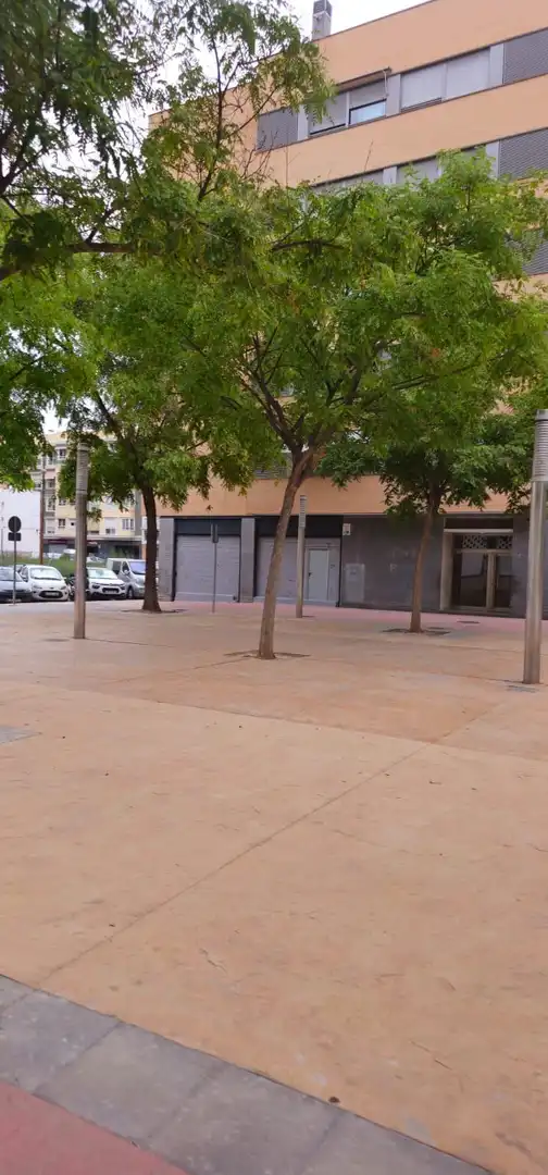 Gewerbefläche zum Verkauf in Elche ciudad, imagen 16