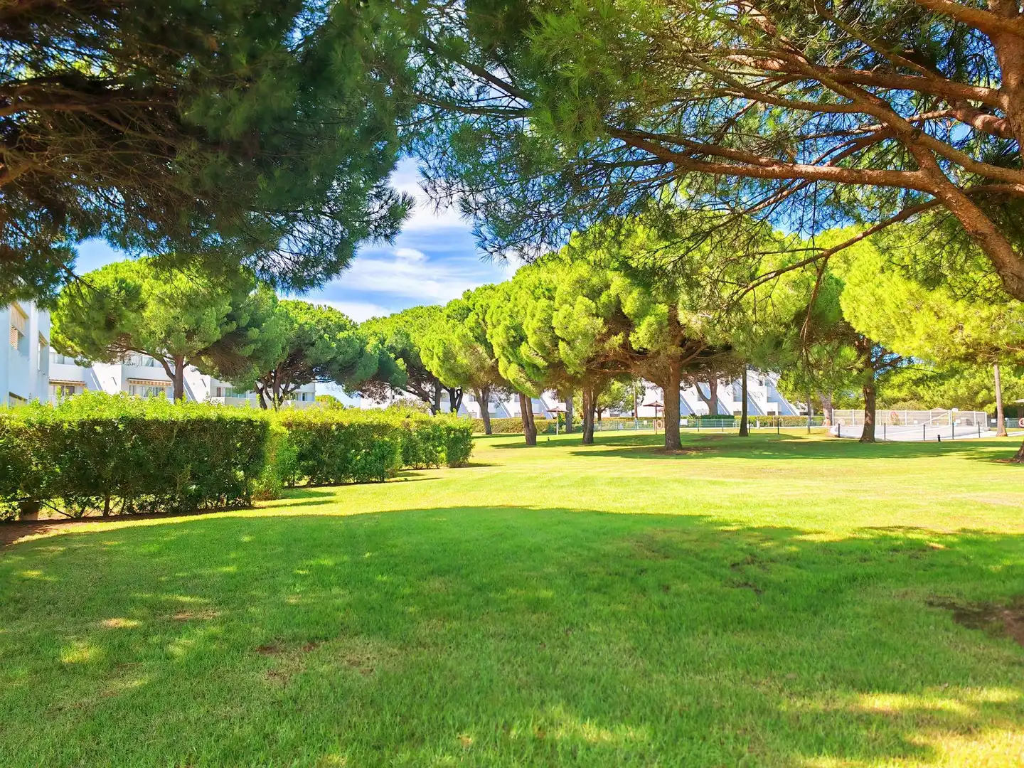 Apartamento con terraza en venta en Novo Sancti Petri, imagen 25