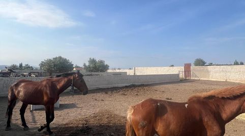 Foto 5 de Terreno industrial en venta en Calle Torre Guil, Sangonera la Seca, Murcia Capital