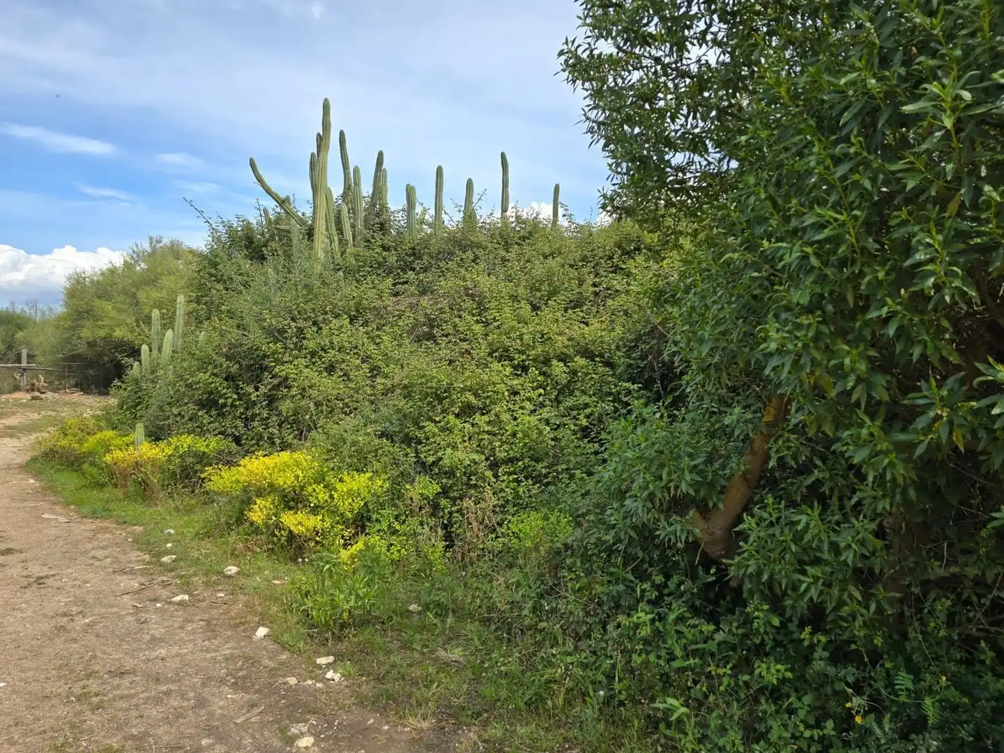Finca rústica en venta en  Palma de Mallorca con Jardín privado, Terraza y Trastero