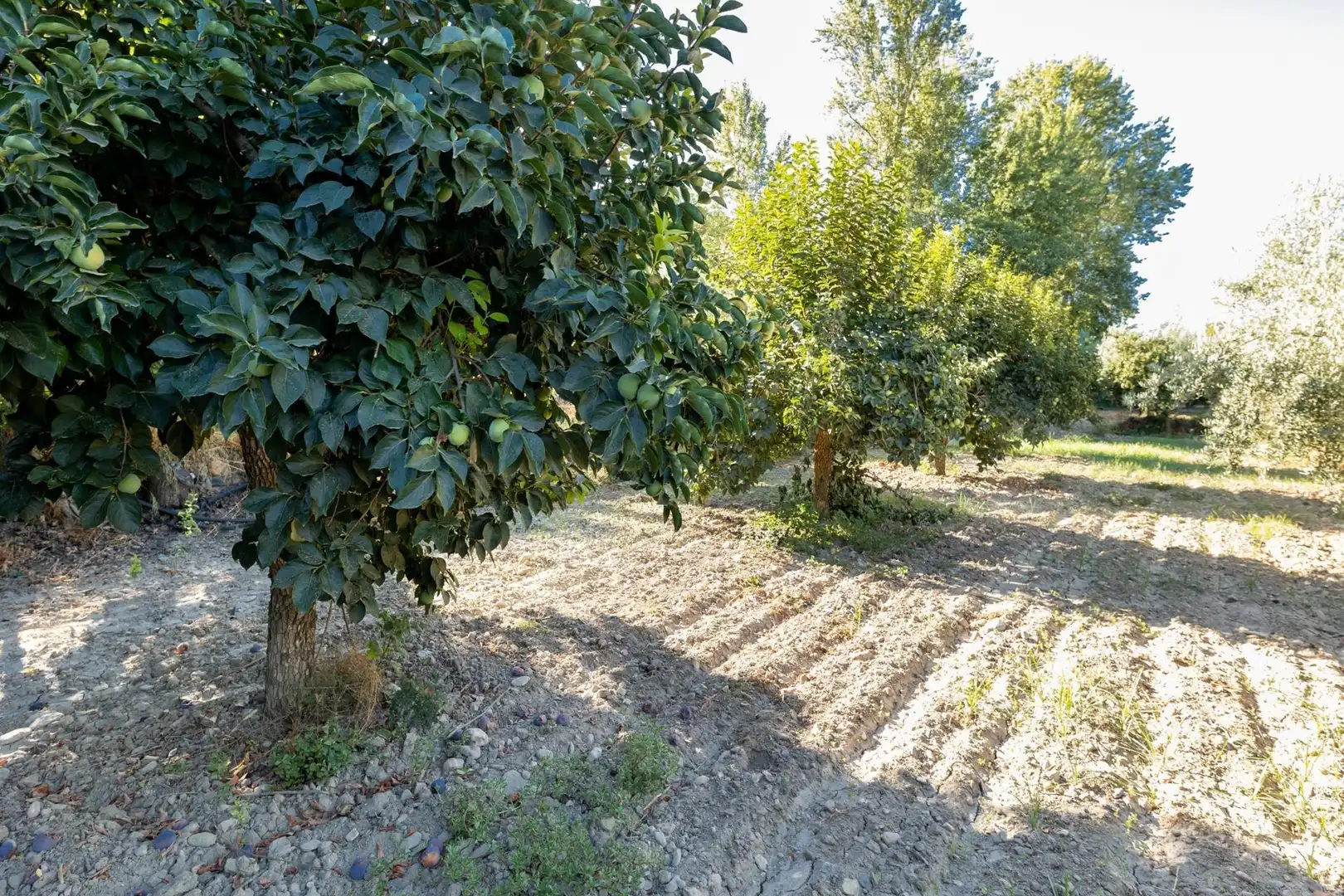 Rustikales Grundstück zum Verkauf in Calle rio bermejo, imagen 22