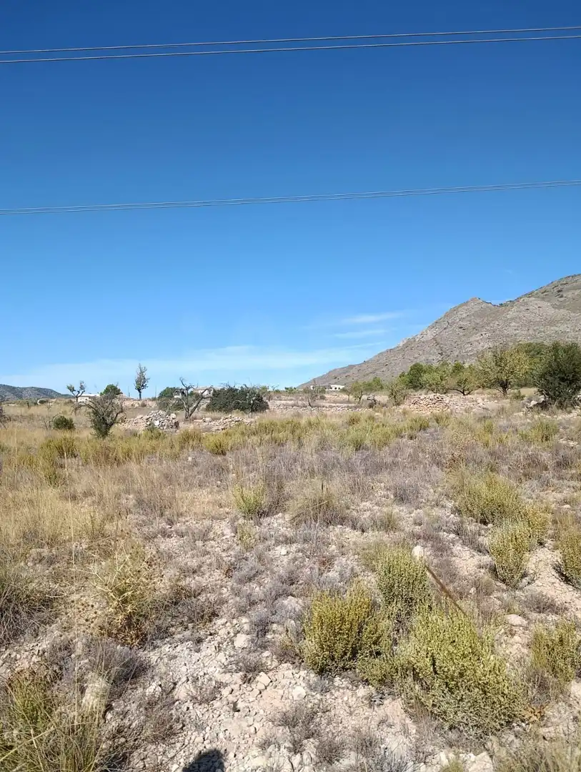 Terreno rustico in vendita a Hondón de las Nieves / El Fondó de les Neus, imagen 17