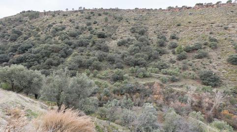 Foto 2 de Terreno en venta en  Extrarradio, Monachil pueblo, Monachil