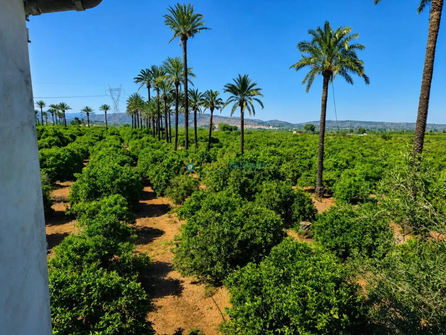 Vista exterior de Finca rústica en venta en Cotes con Terraza y Trastero