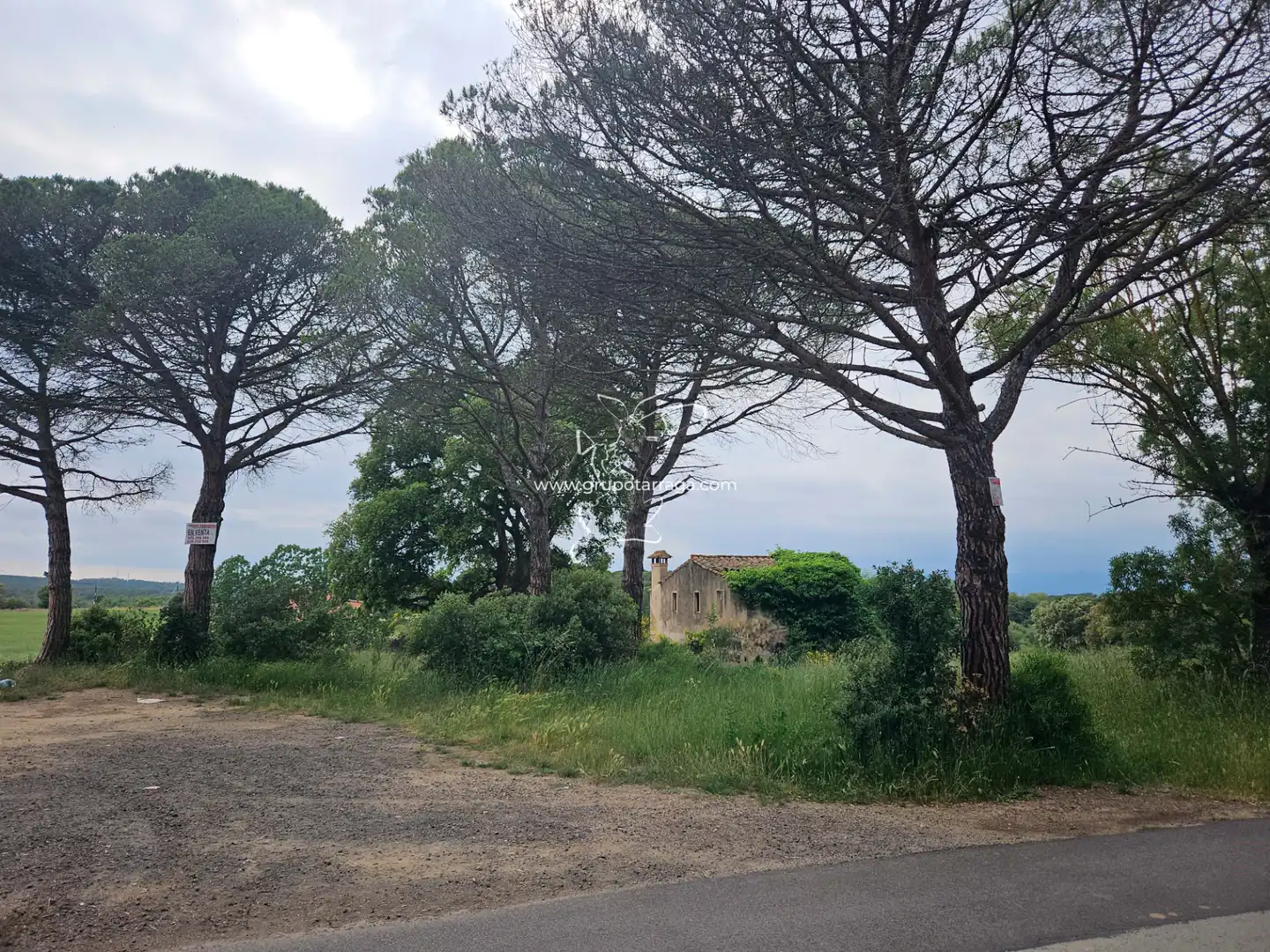 Country house zum Verkauf in Maçanet de la Selva