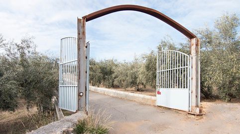 Foto 2 de Finca rústica en venta en Loja, Granada