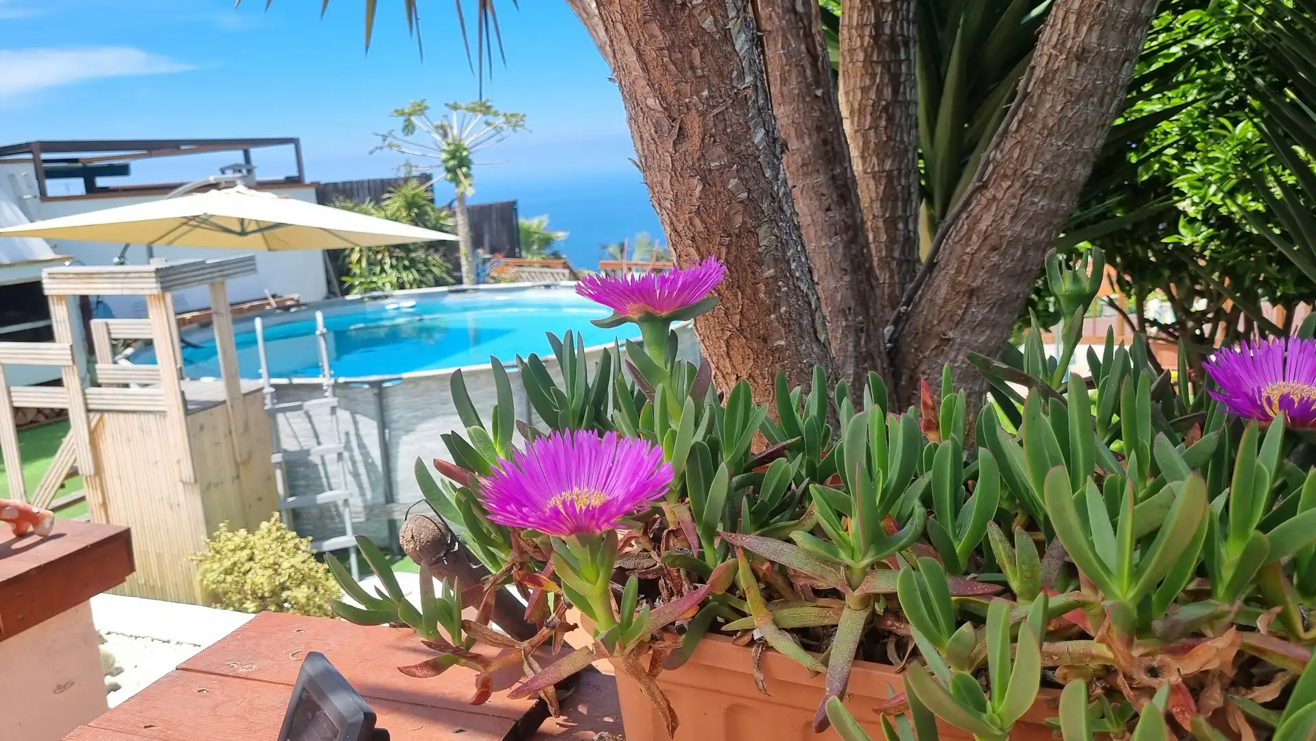 Terrace of Houses for sale in Los Realejos  with Private garden, Terrace and Storage room