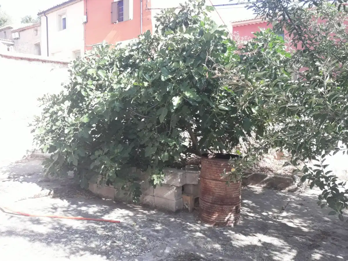 Houses for sale in Serón de Nágima