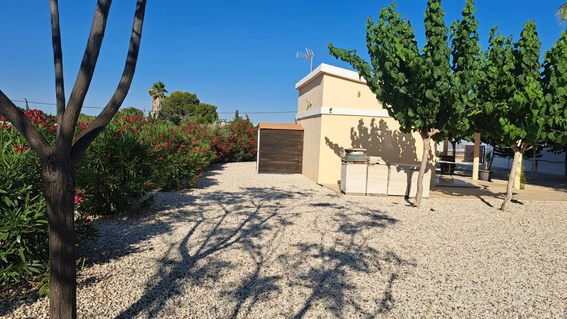 Exterior view of Houses for sale in Novelda  with Swimming Pool and Alarm