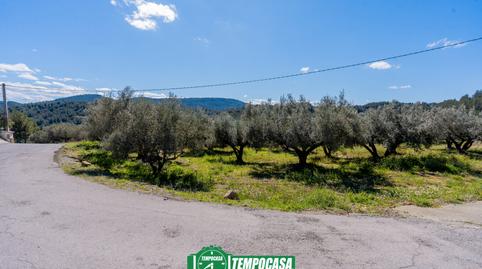 Photo 3 of House or chalet for sale in N/a, Viver, Castellón